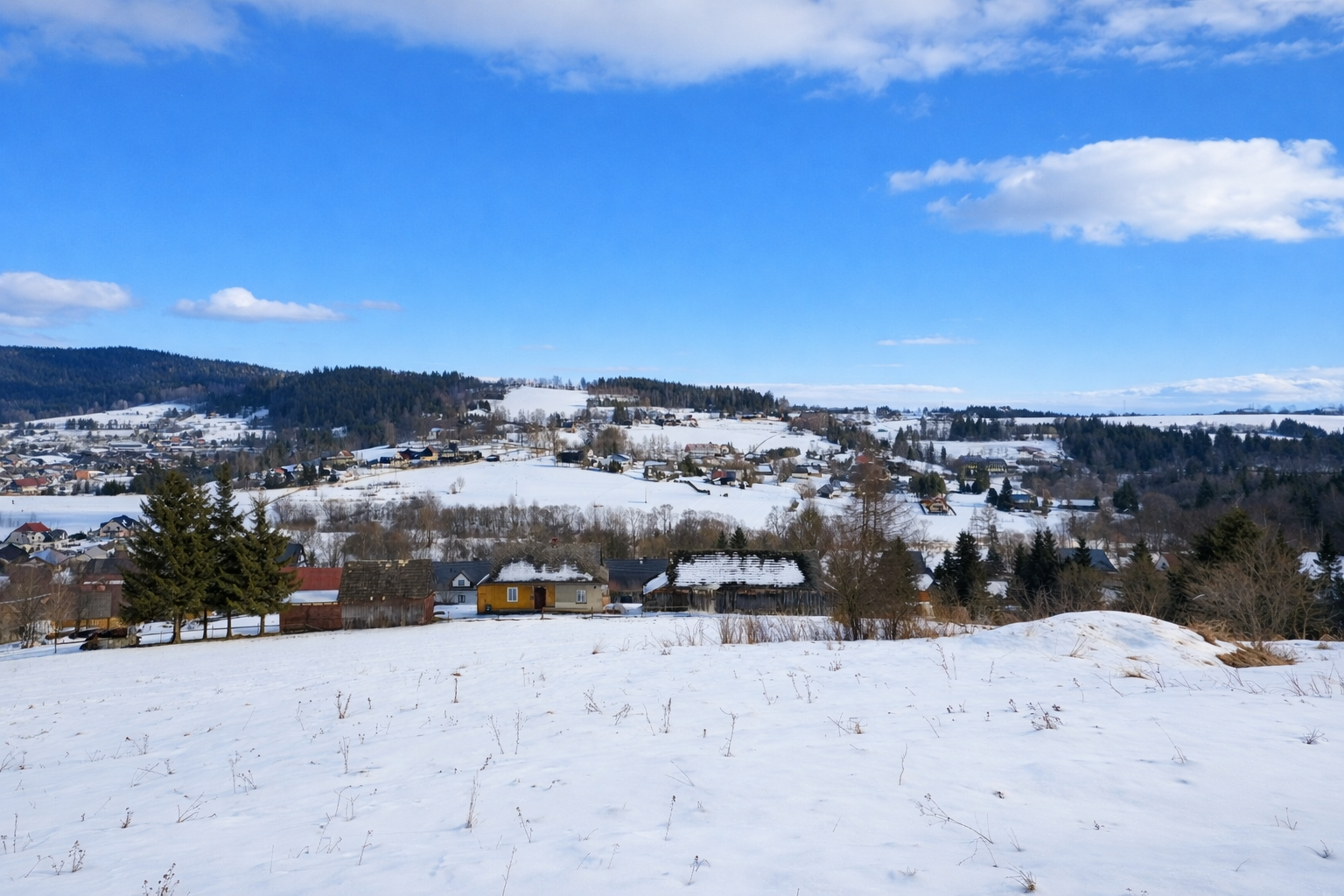 Image 29 sty 2026 o 14_28_11