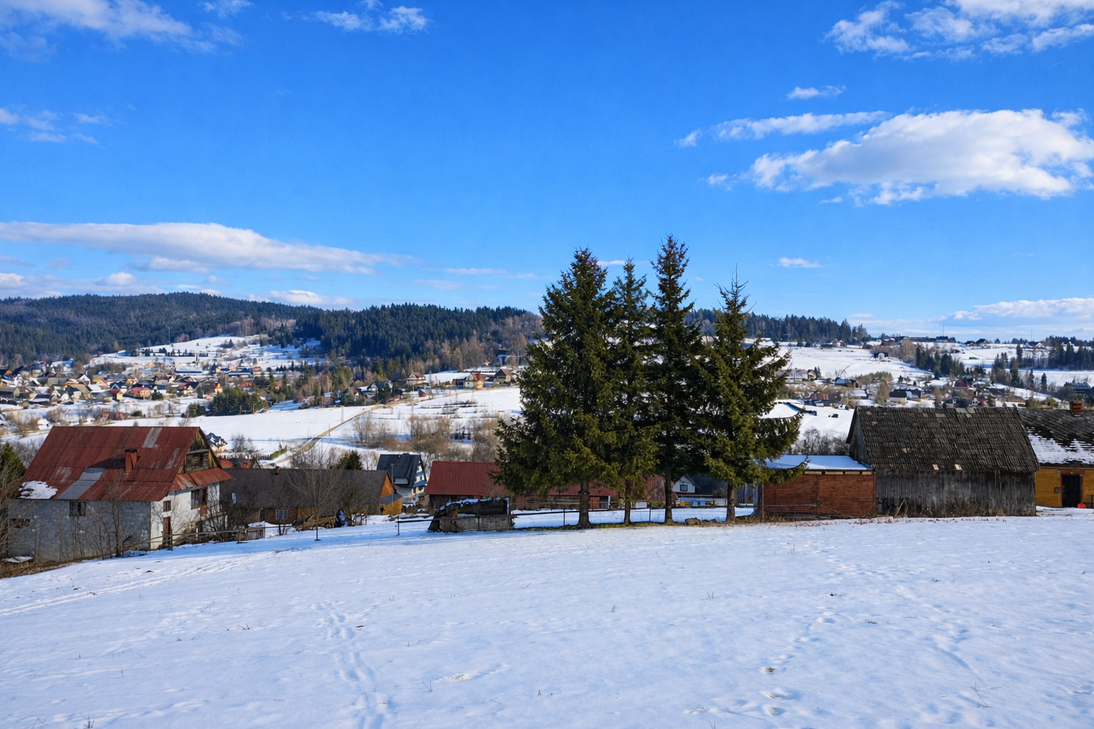 Image 29 sty 2026 o 14_28_15