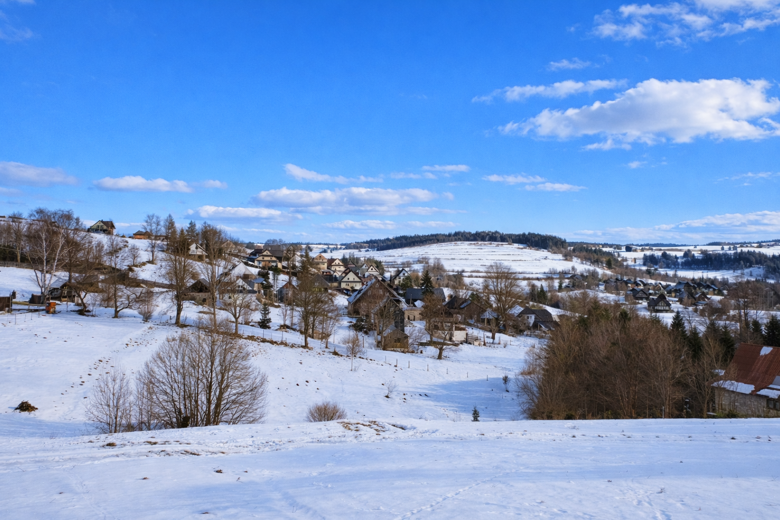 Image 29 sty 2026 o 14_28_18